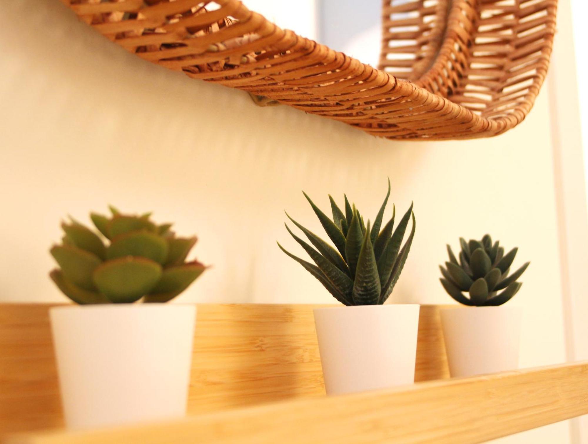 Marques De Zafra - Ventas Appartement Madrid